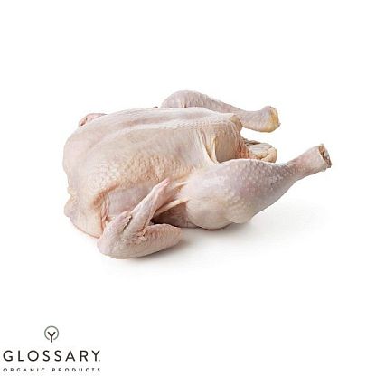 Курица английской породы кур Redbro в тушках Карашинське подвір'я, магазин Glossary 