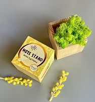 Подставка с мхом Brinjal,  магазин Glossary 